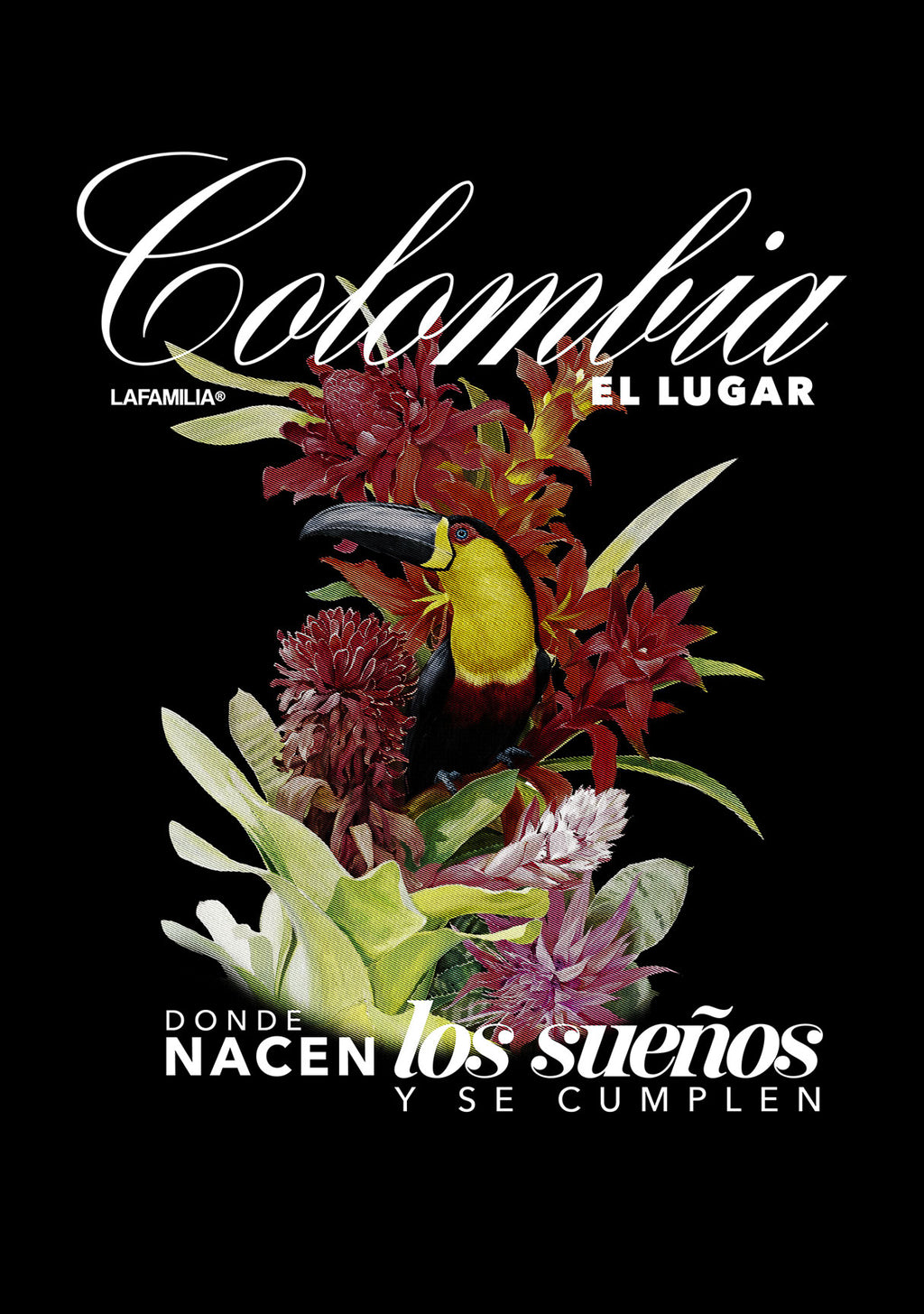 Camiseta Oversized Colombia una sola Familia Black