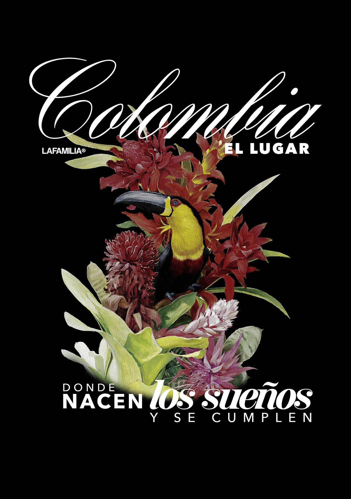 Camiseta Oversized Colombia una sola Familia Black