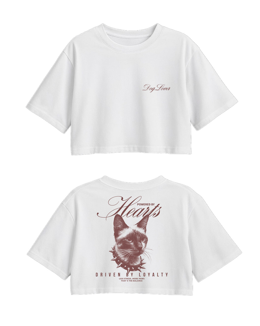 C-Top White Cat