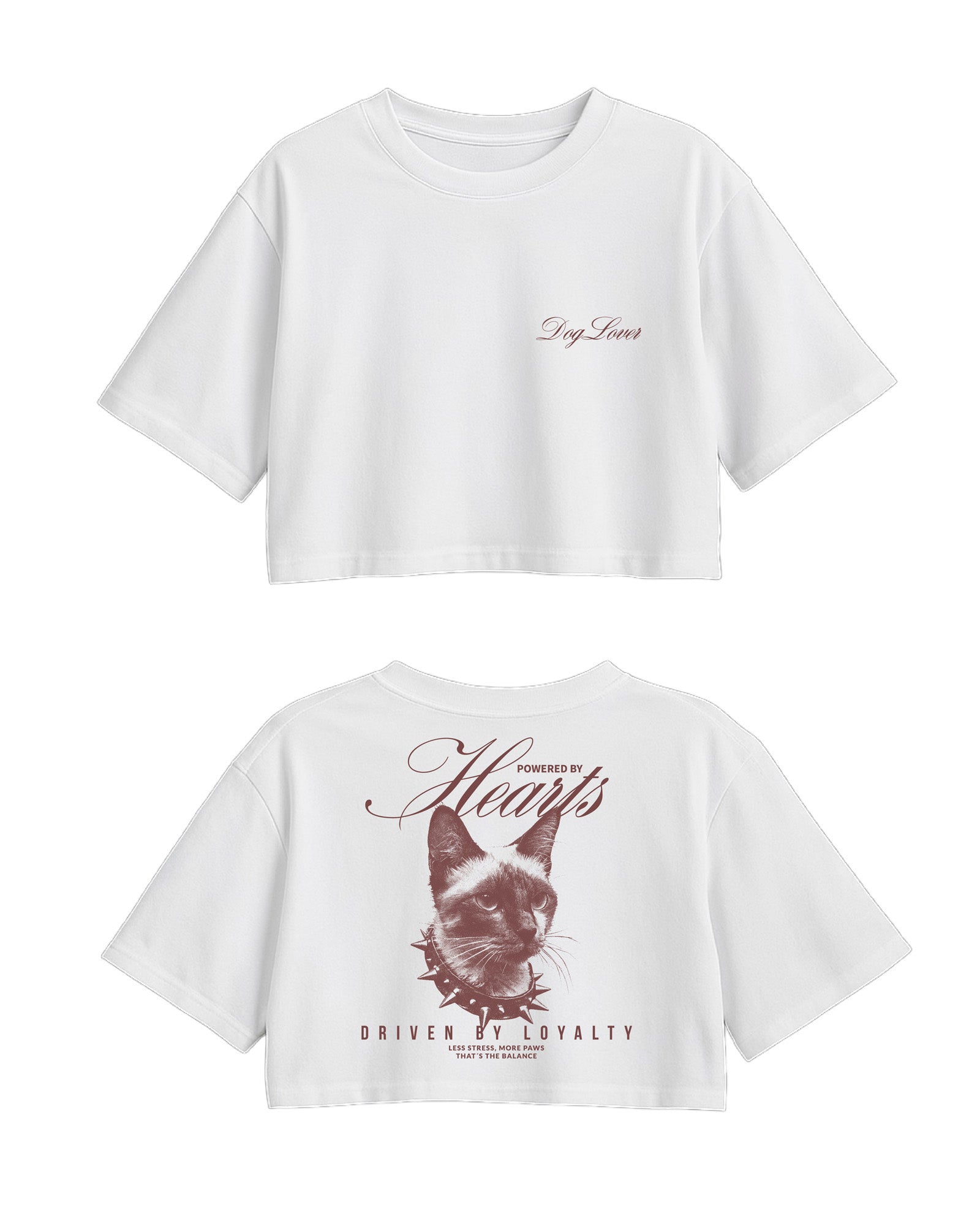 C-Top White Cat