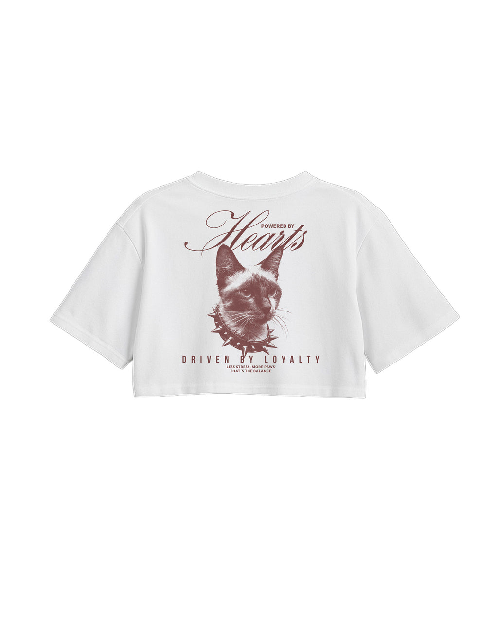 C-Top White Cat
