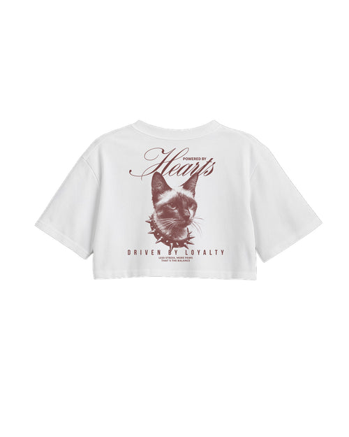 C-Top White Cat