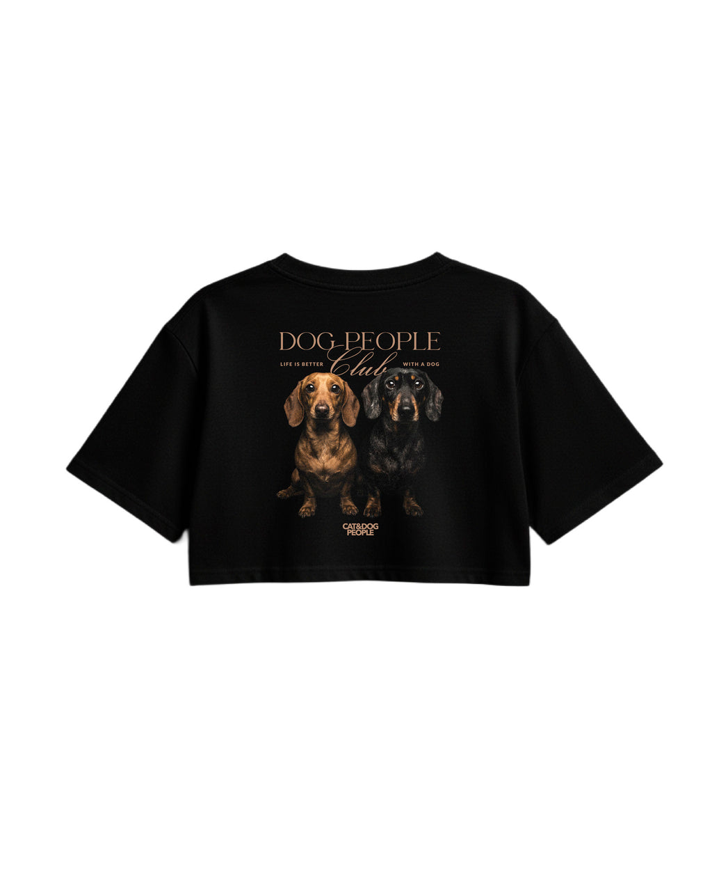 C-Top Dachshund