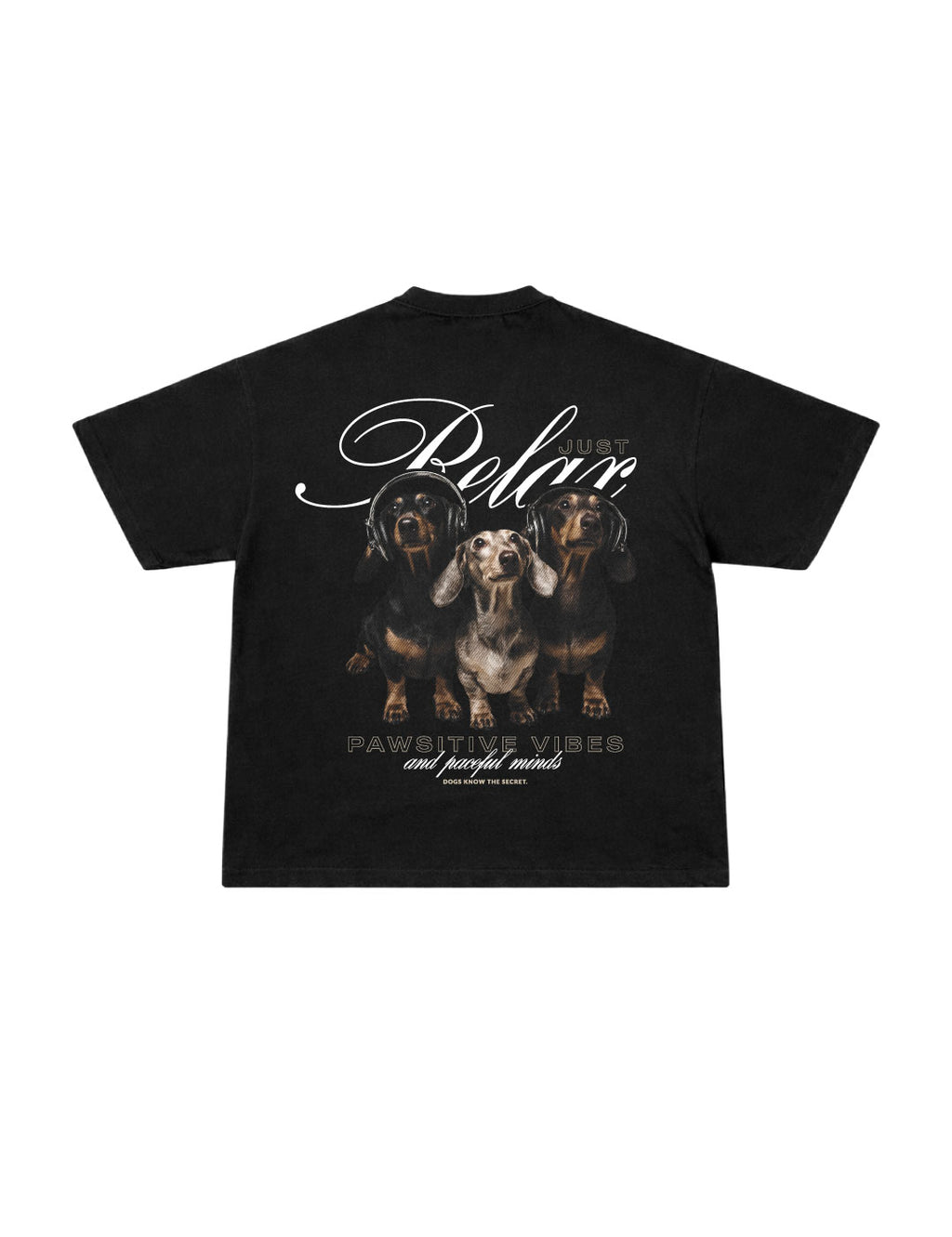 Camiseta Oversized Dachshunds Black
