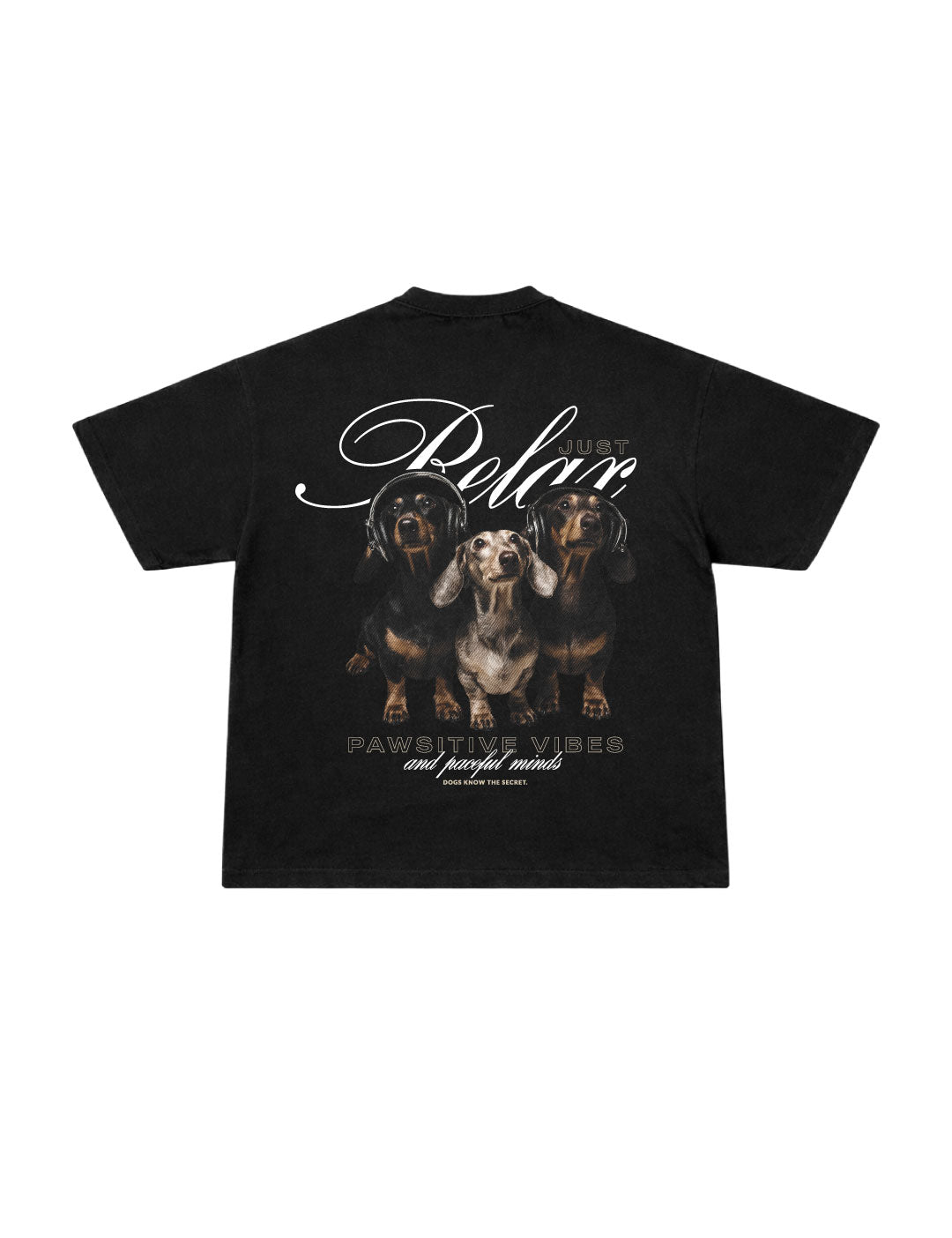 Camiseta Oversized Dachshunds Black