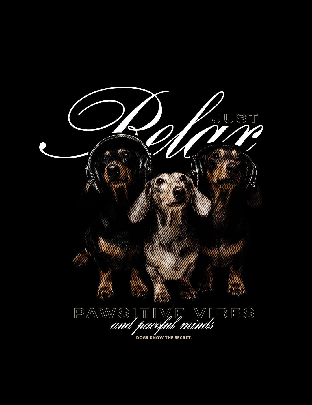 Camiseta Oversized Dachshunds Black