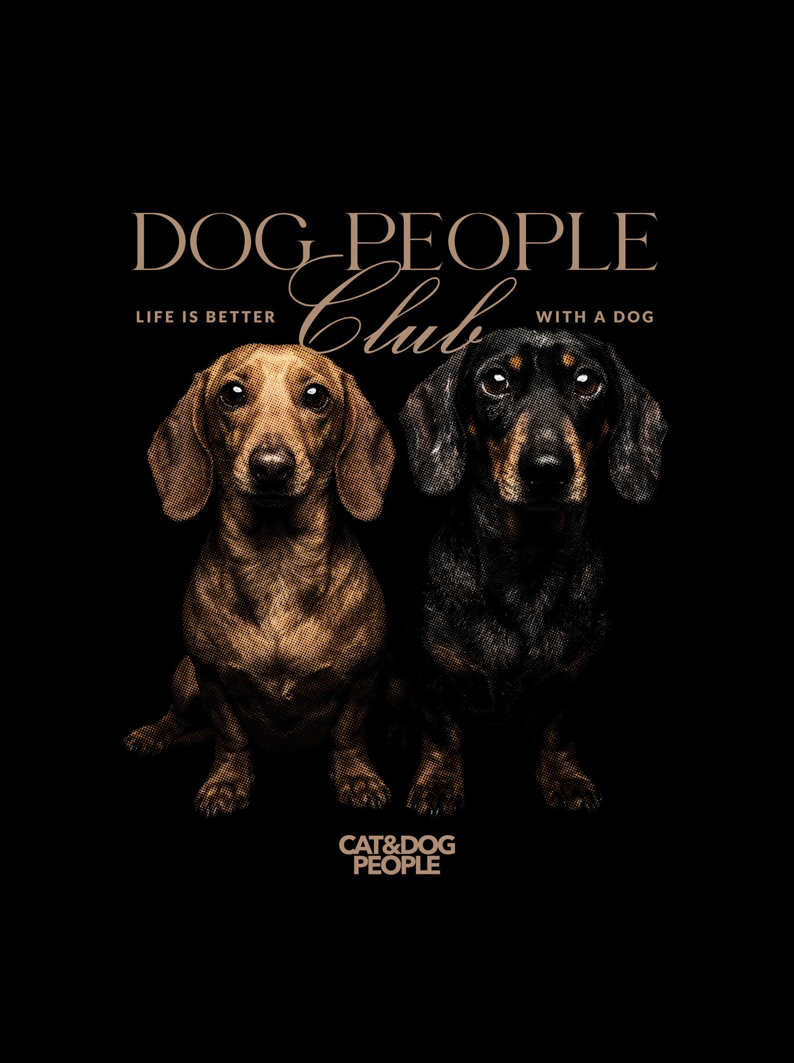 C-Top Dachshund