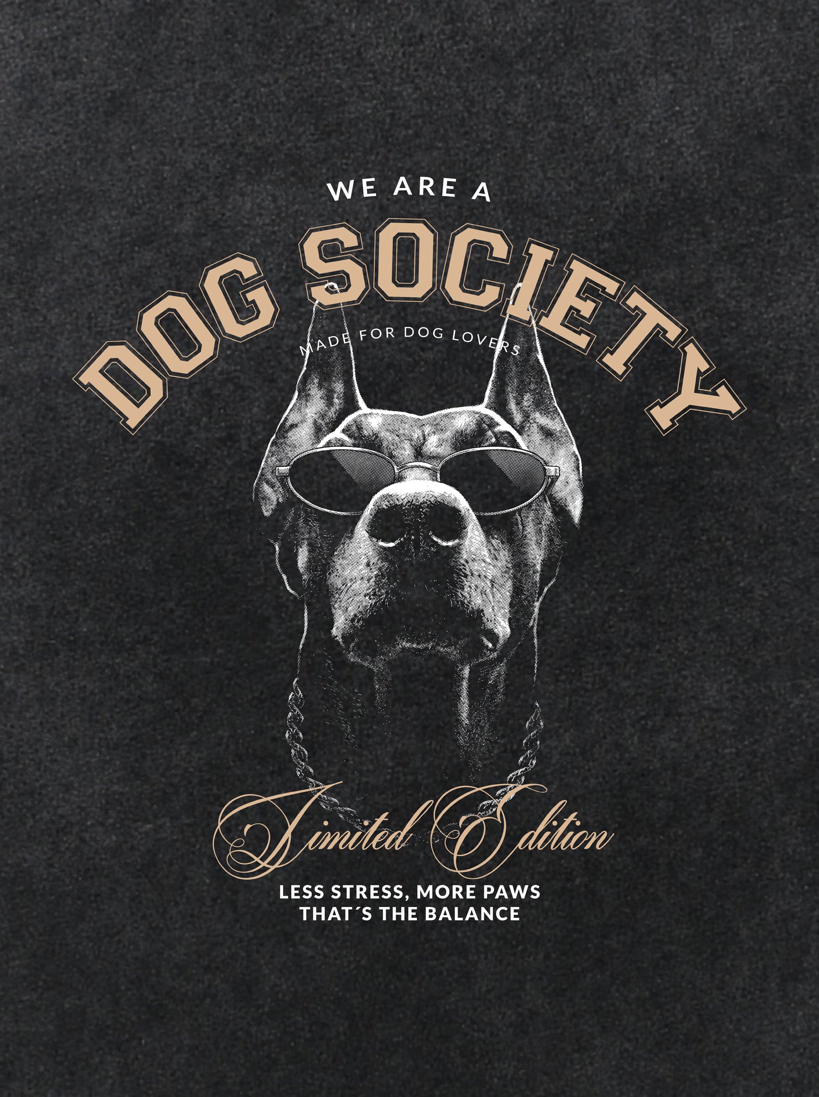 Camiseta Oversized Doberman INDST