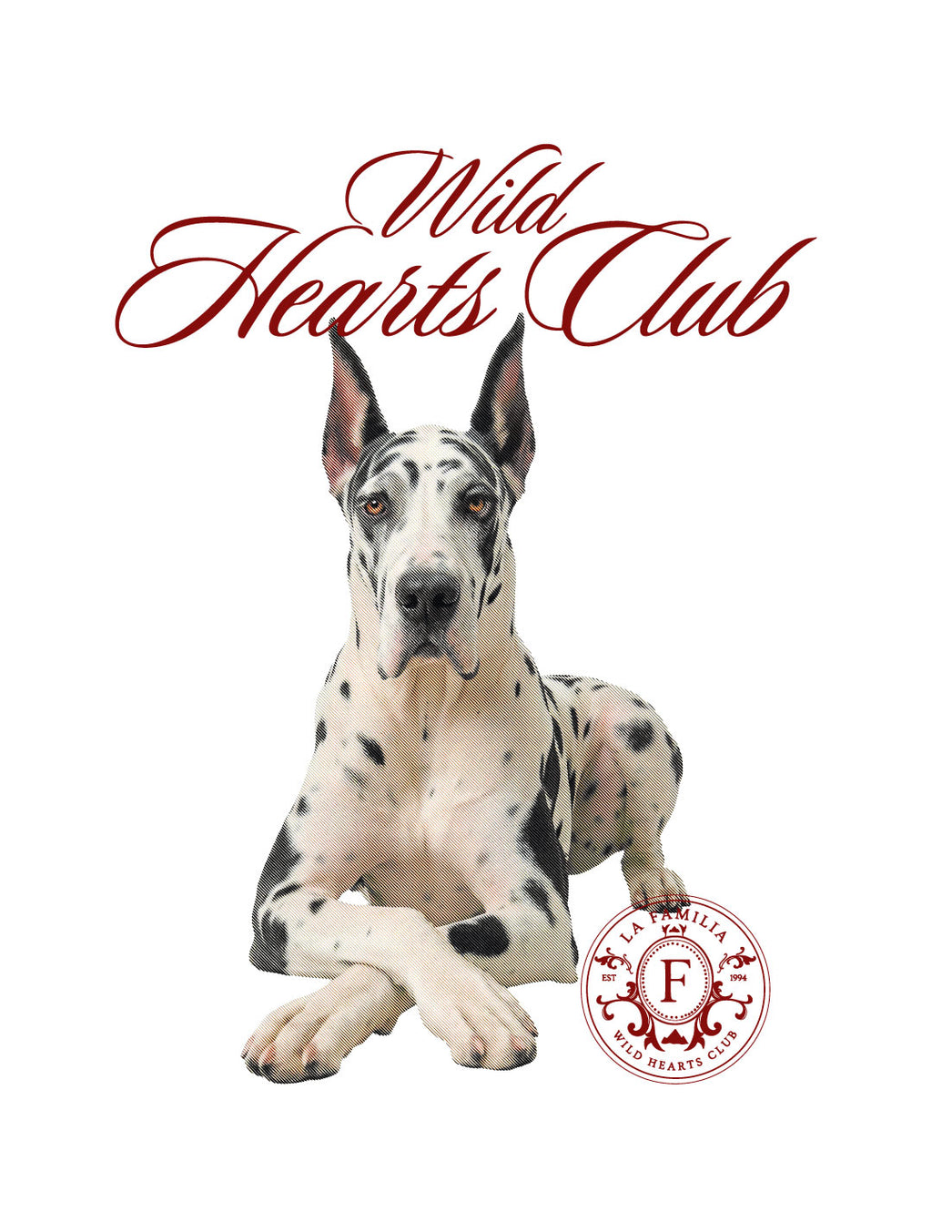Camiseta Oversized Wild Hearts White