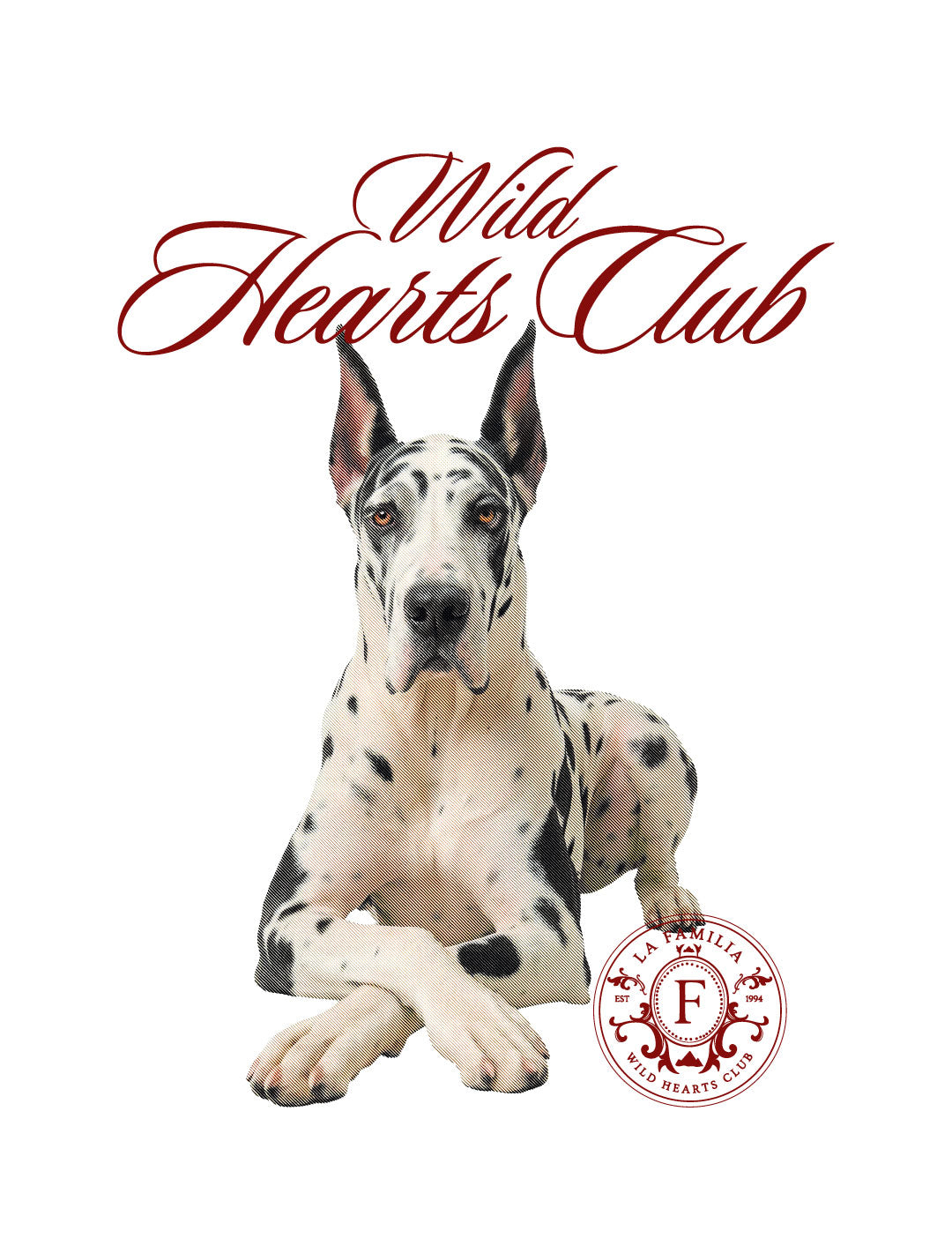 Camiseta Oversized Wild Hearts White